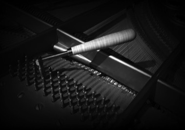 Stacks Image 314