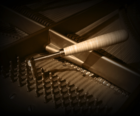 Stacks Image 314